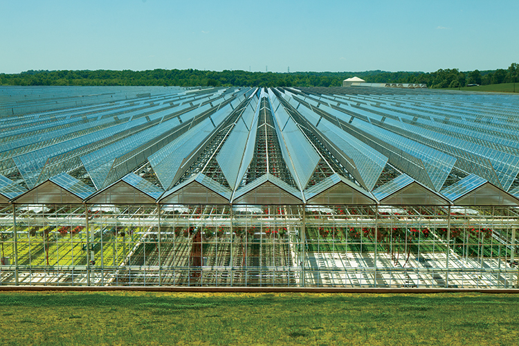 HighTech Horticulture at North Carolina Nurseries