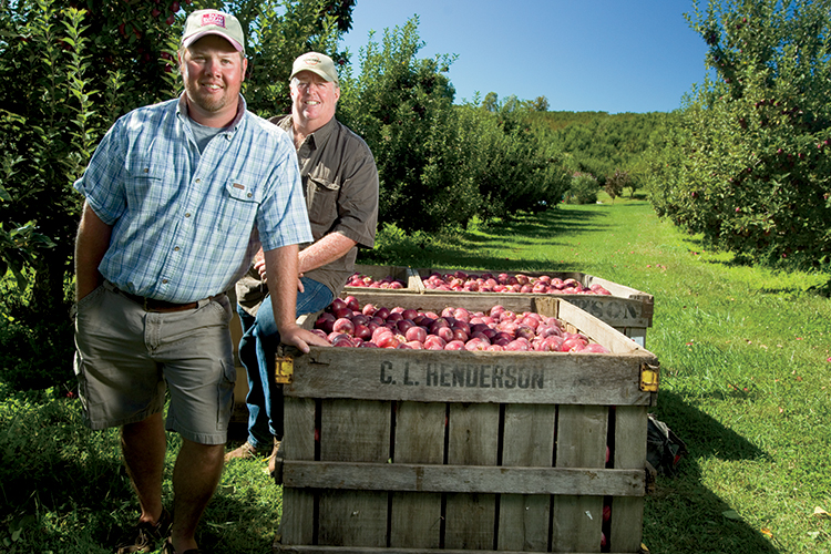 Apples Blossom in North Carolina