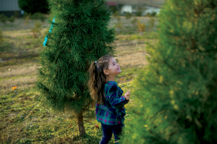 The Christmas Tree Patch in Lee County North Carolina Field and Family