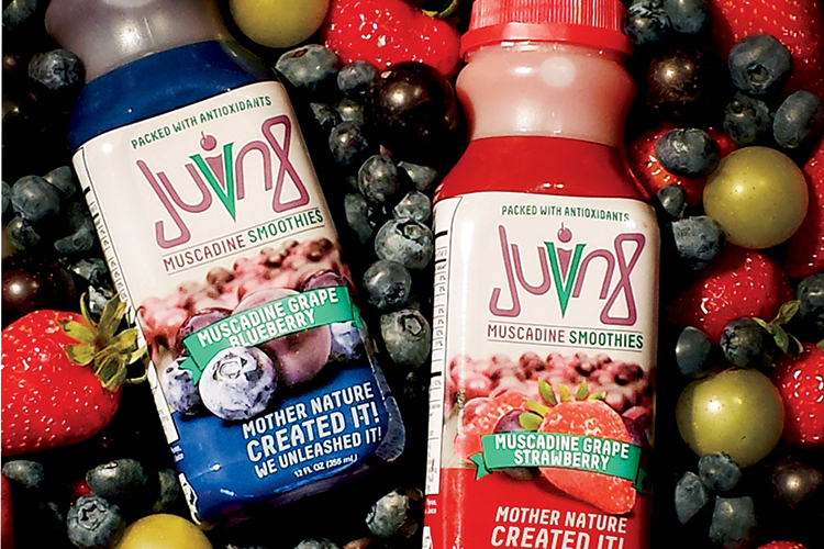 Super Juvn8 Smoothies