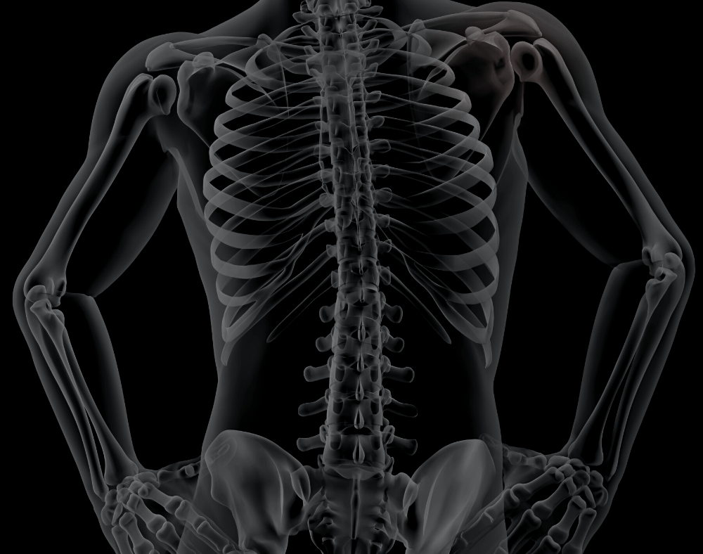 Bruised Ribs Broken Ribs Causes, Symptoms, Treatment and Prevention