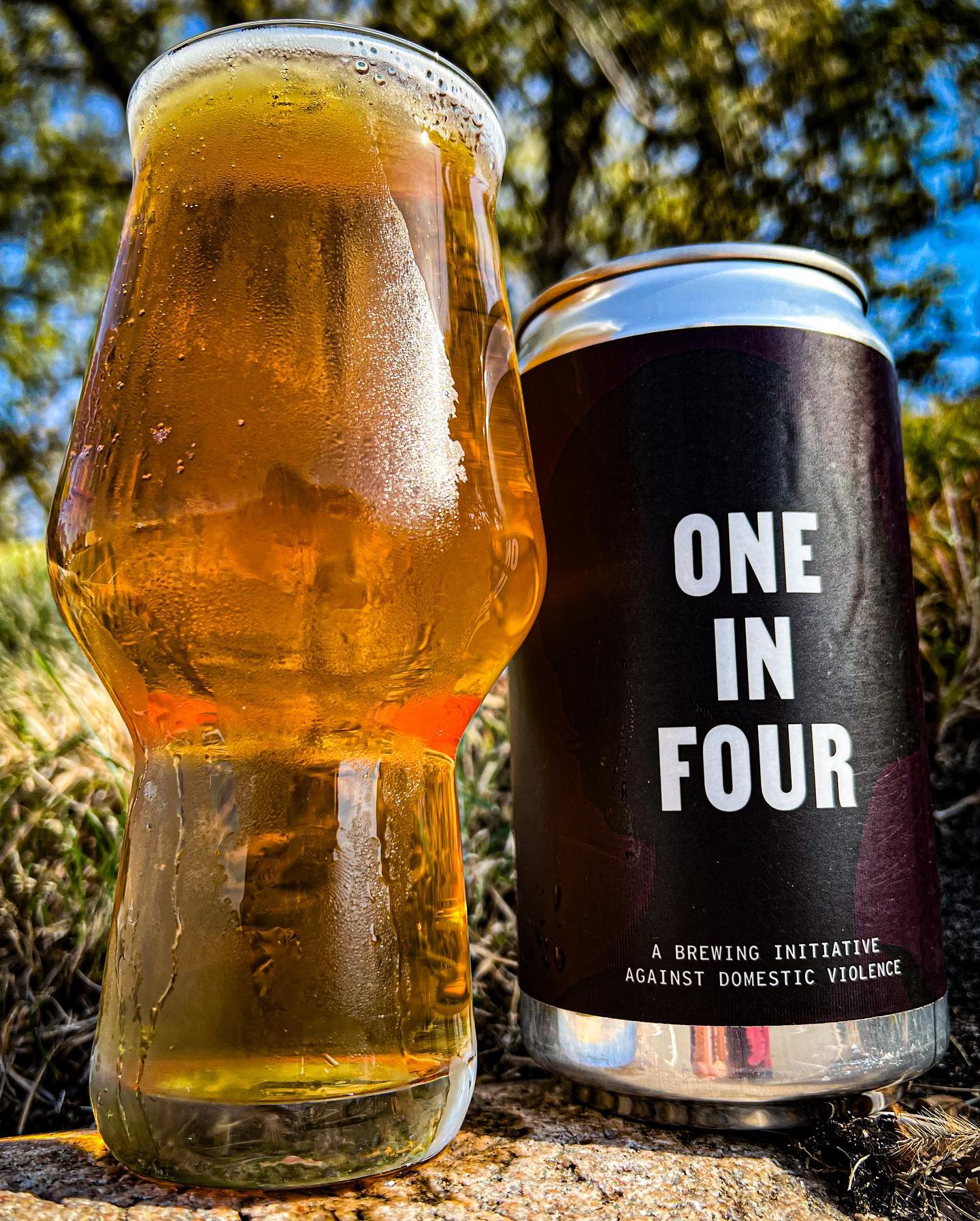 One in Four American IPA Nine Mile Brewing