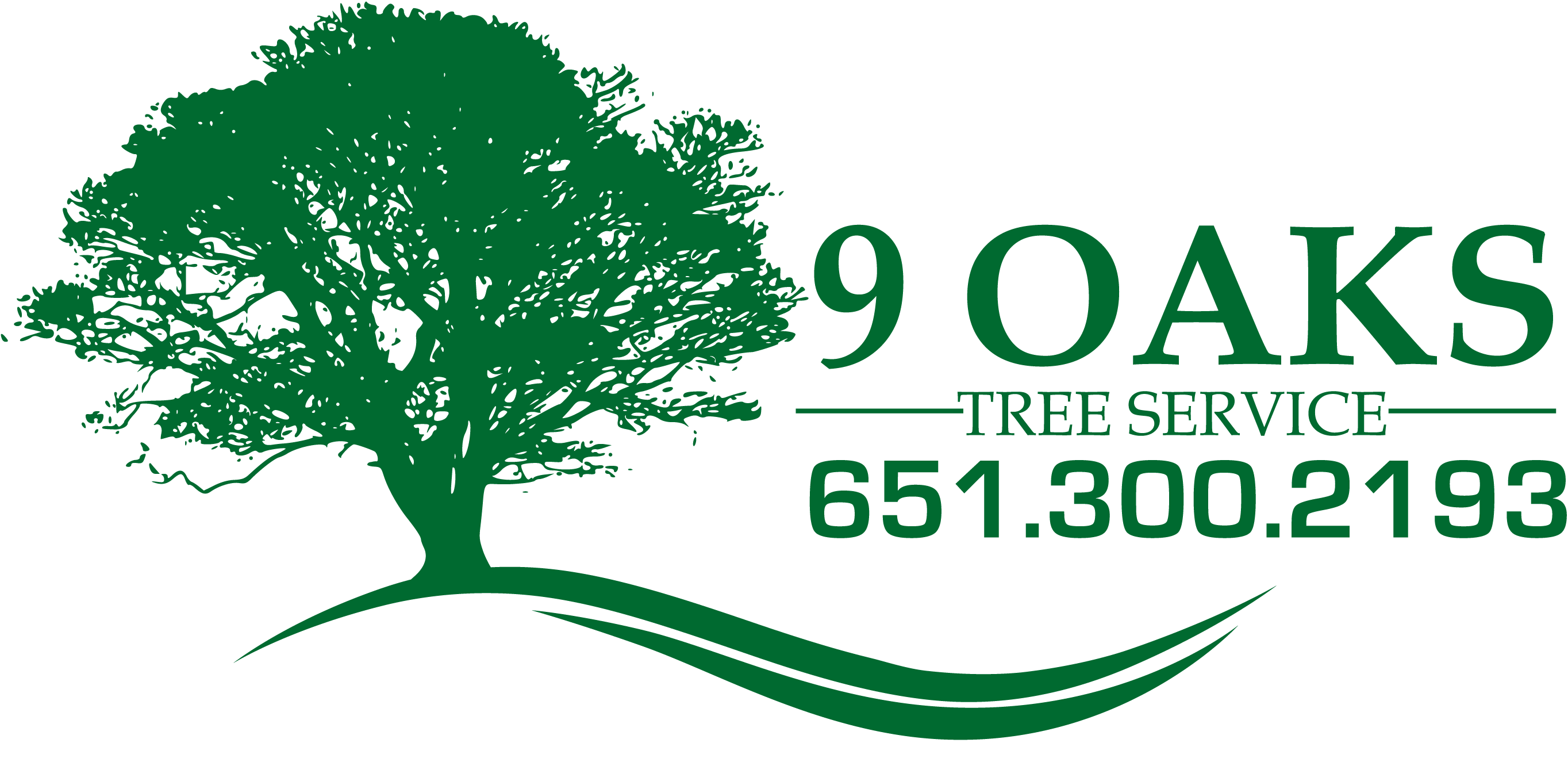 Tree Trimming in Woodbury MN Tree Trimming in St. Paul MN