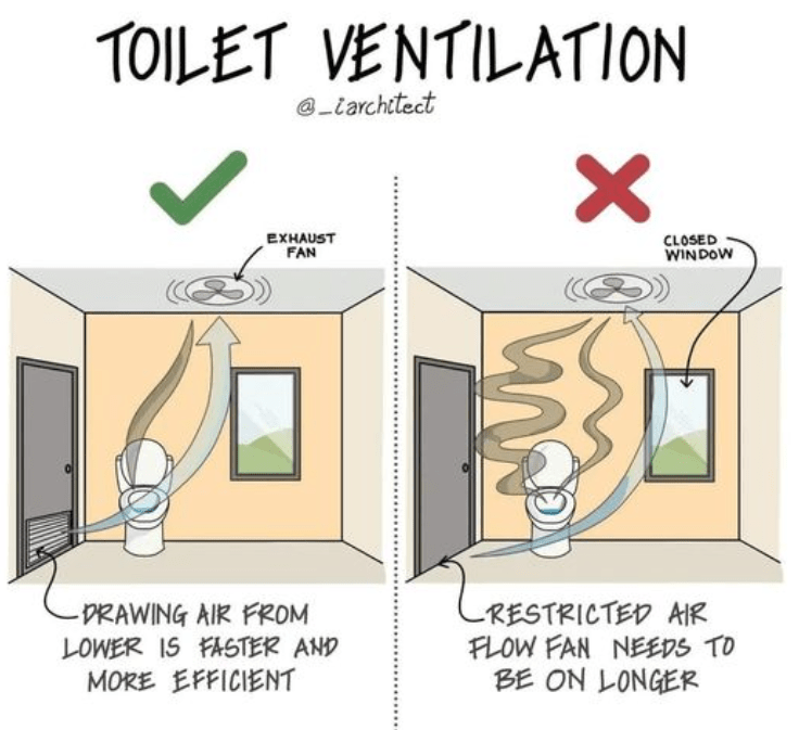 “Is Your Ceiling Peeling Like Old Paint? Discover the Truth Behind Mold