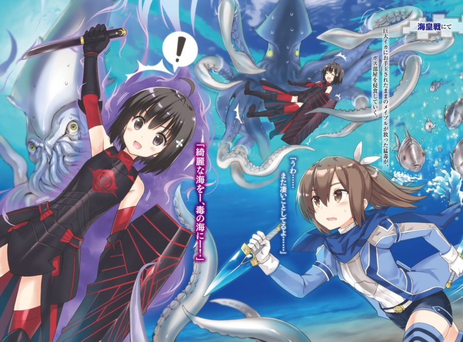 Light Novel Review Bofuri 9 Tailed Kitsune