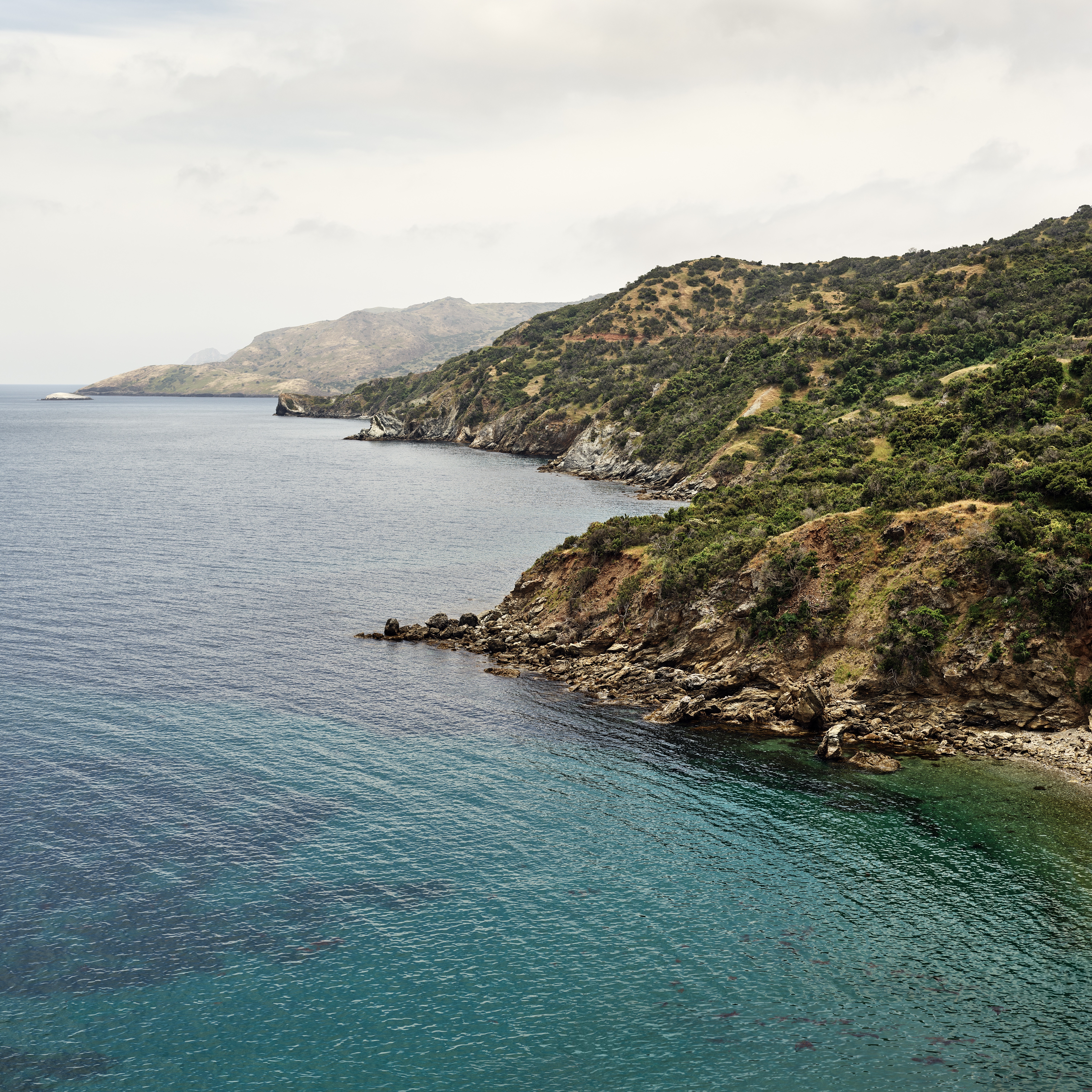 Download 7 New Beautiful Catalina Desktop Wallpapers For Macos 10 15 9to5mac