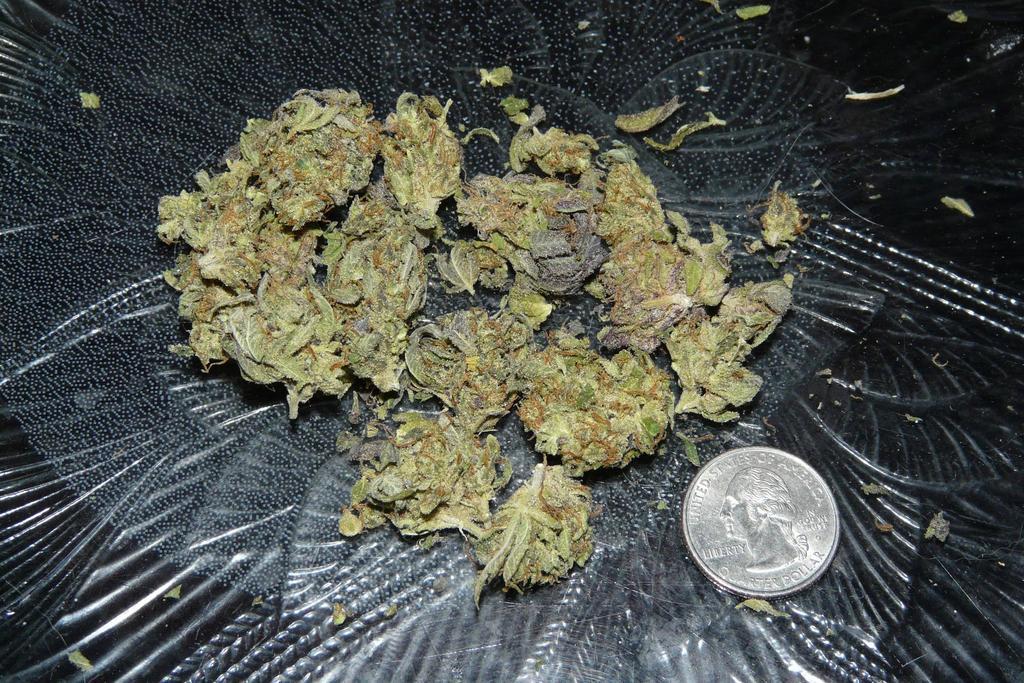 Ask Old Hippie: What Does An Eighth Ounce Of Weed Look Like?