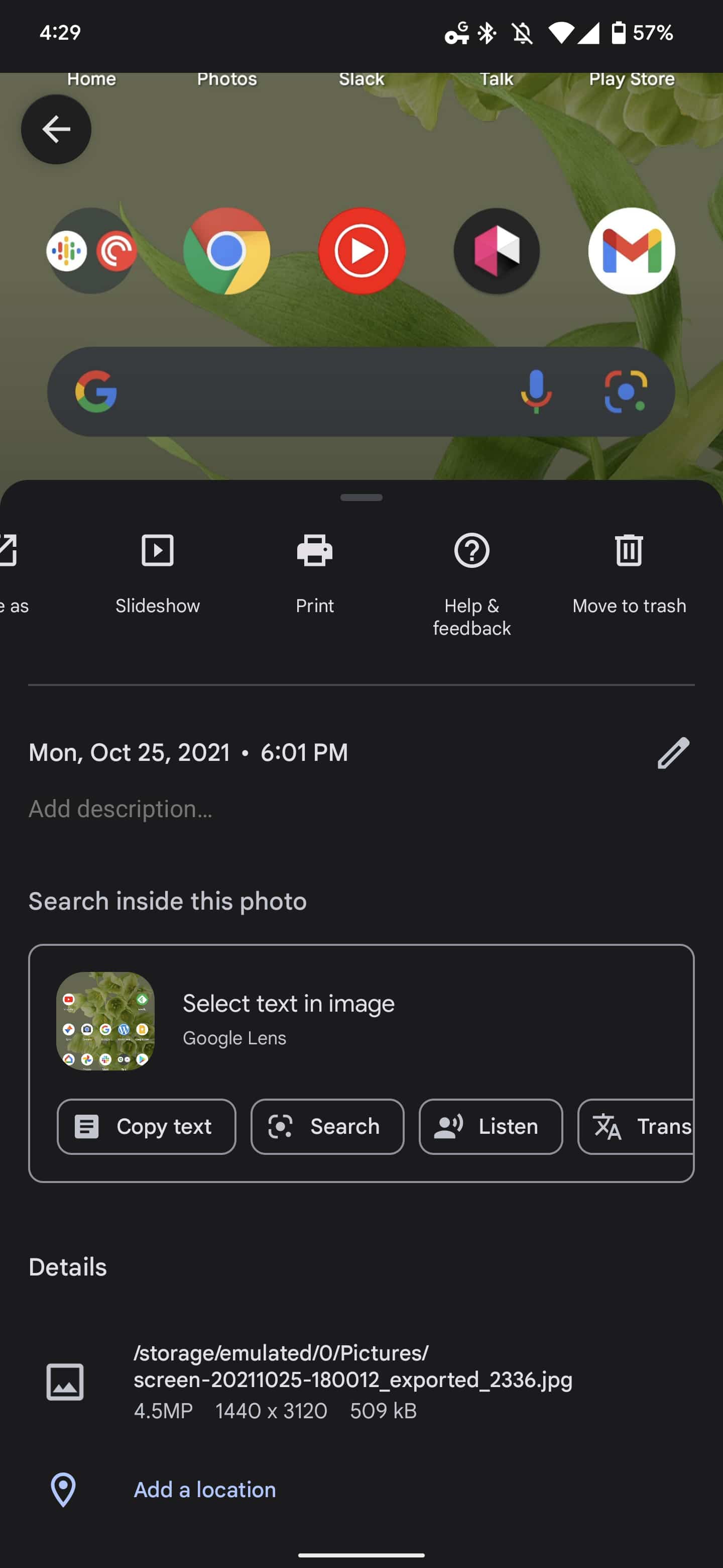 Google Photos delete albums