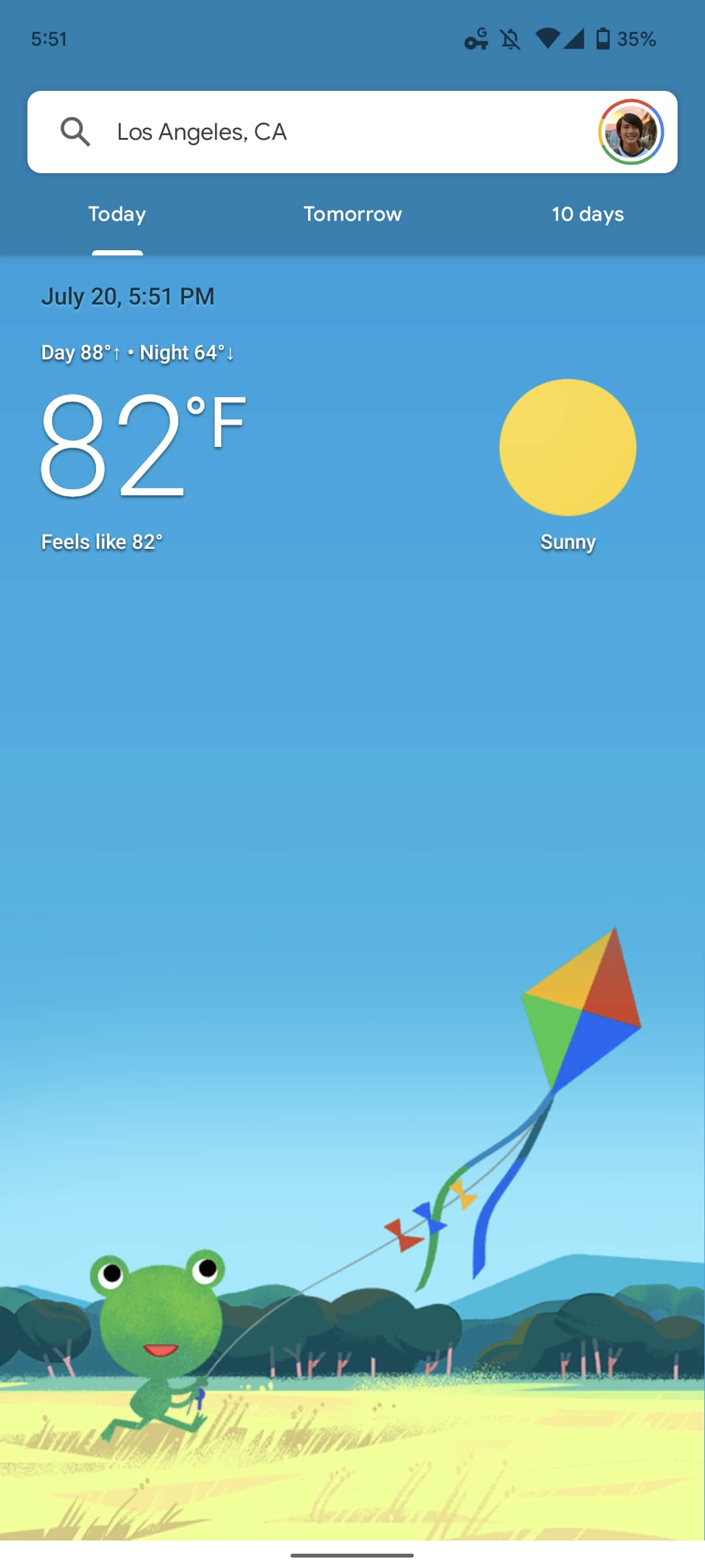 Google Weather Frog no mask