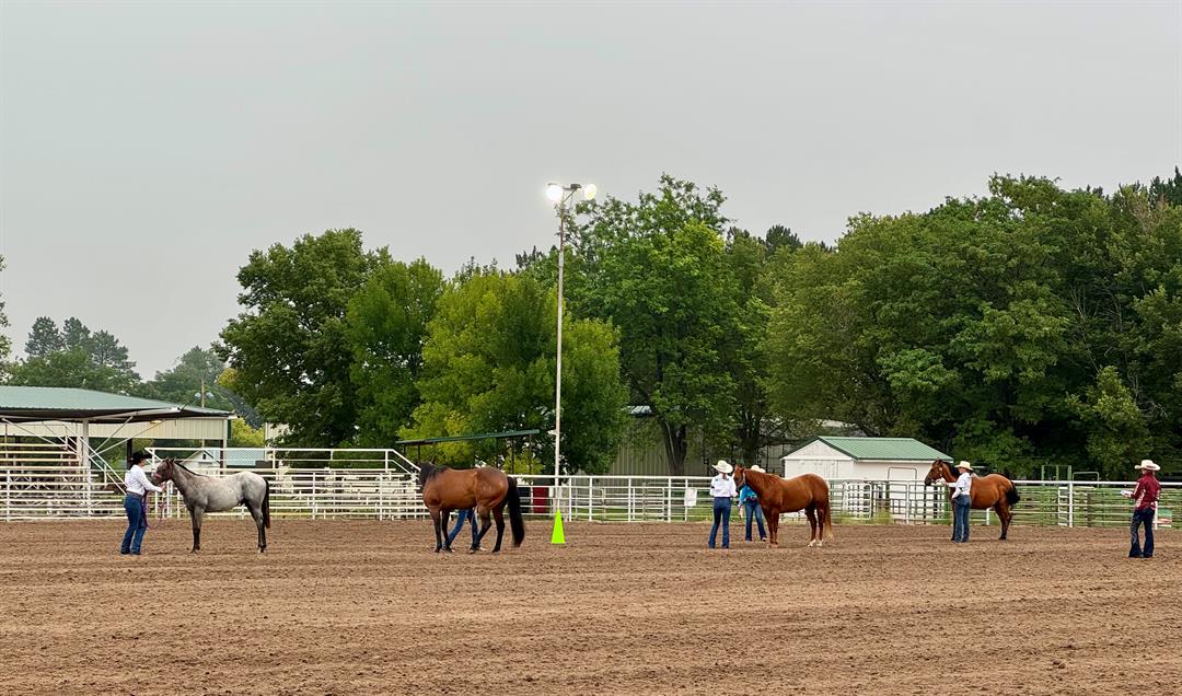 Kimball-Banner County Fair 4-H Horse Show Highlights Grand Champions and Reserve Winners