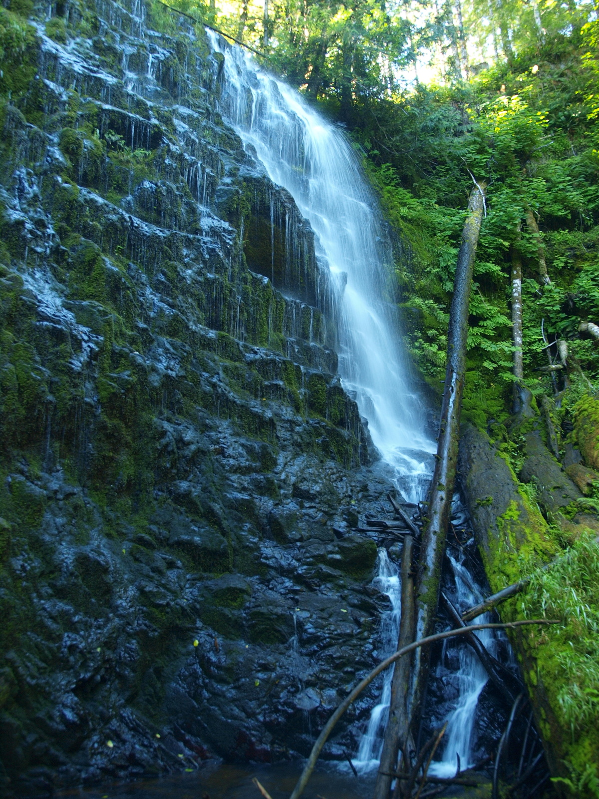 University Falls, Tillamook National Forest Oregon Pacific