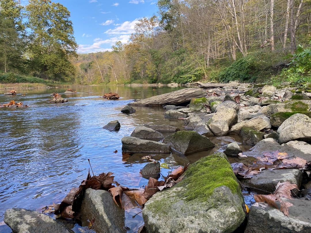 Columbiana County’s Little Beaver Creek becomes Ohio’s 147th State Nature Preserve