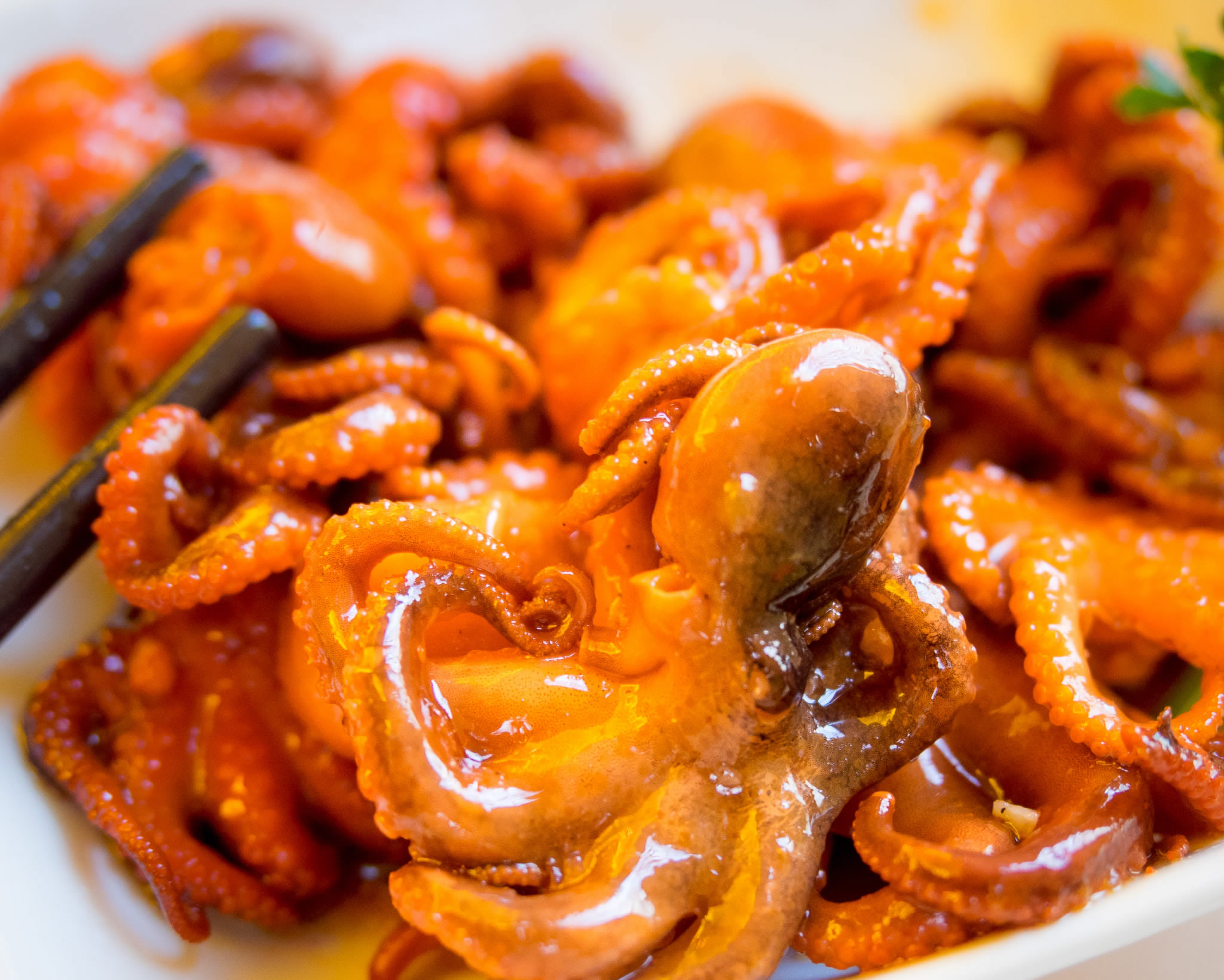 Baby Octopus AAki Sushi & Steakhouse Florida Mall