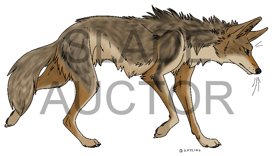 Slade reference aflyleaf’s toyshelf