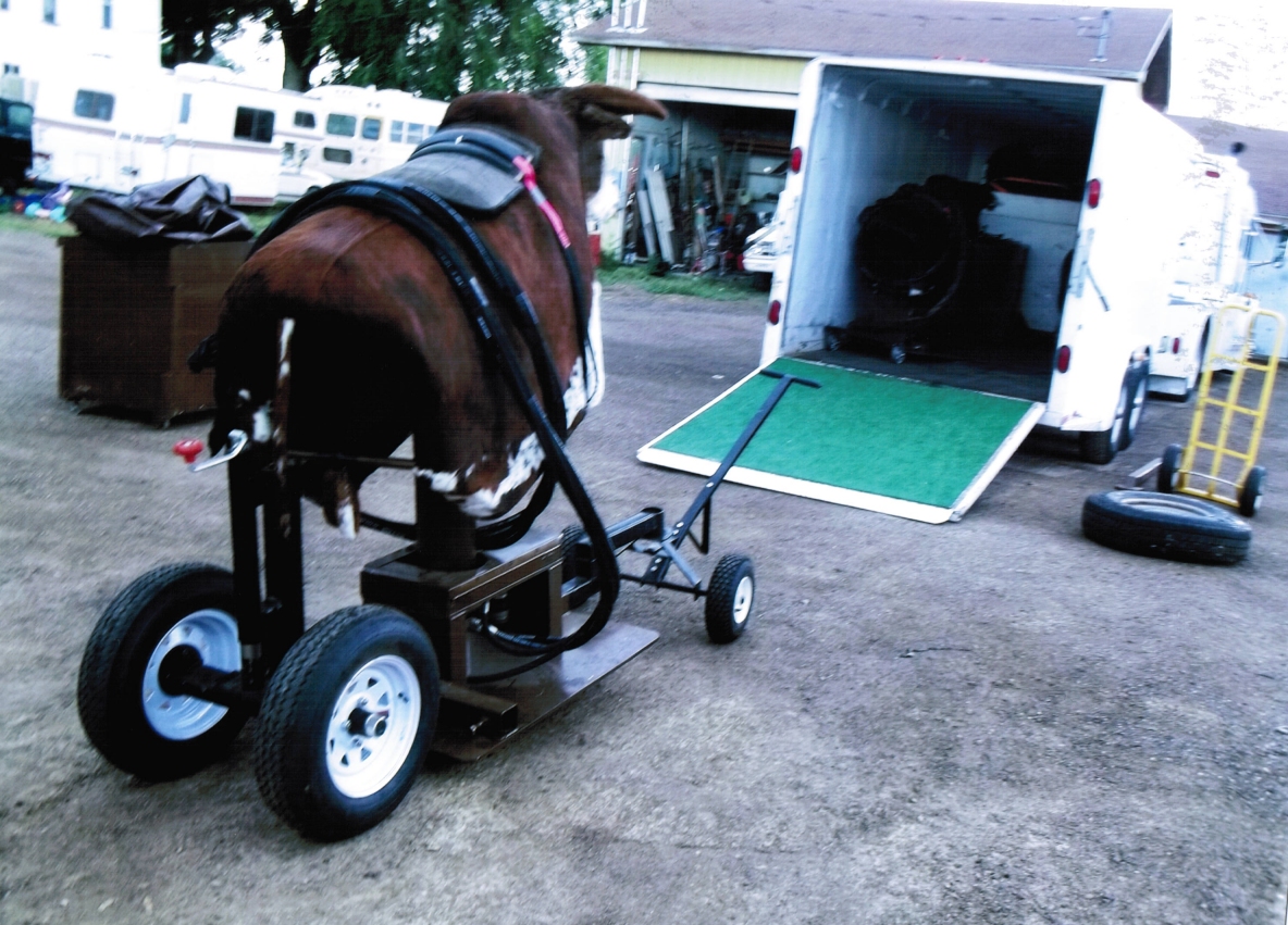 A & P Mechanical Bulls