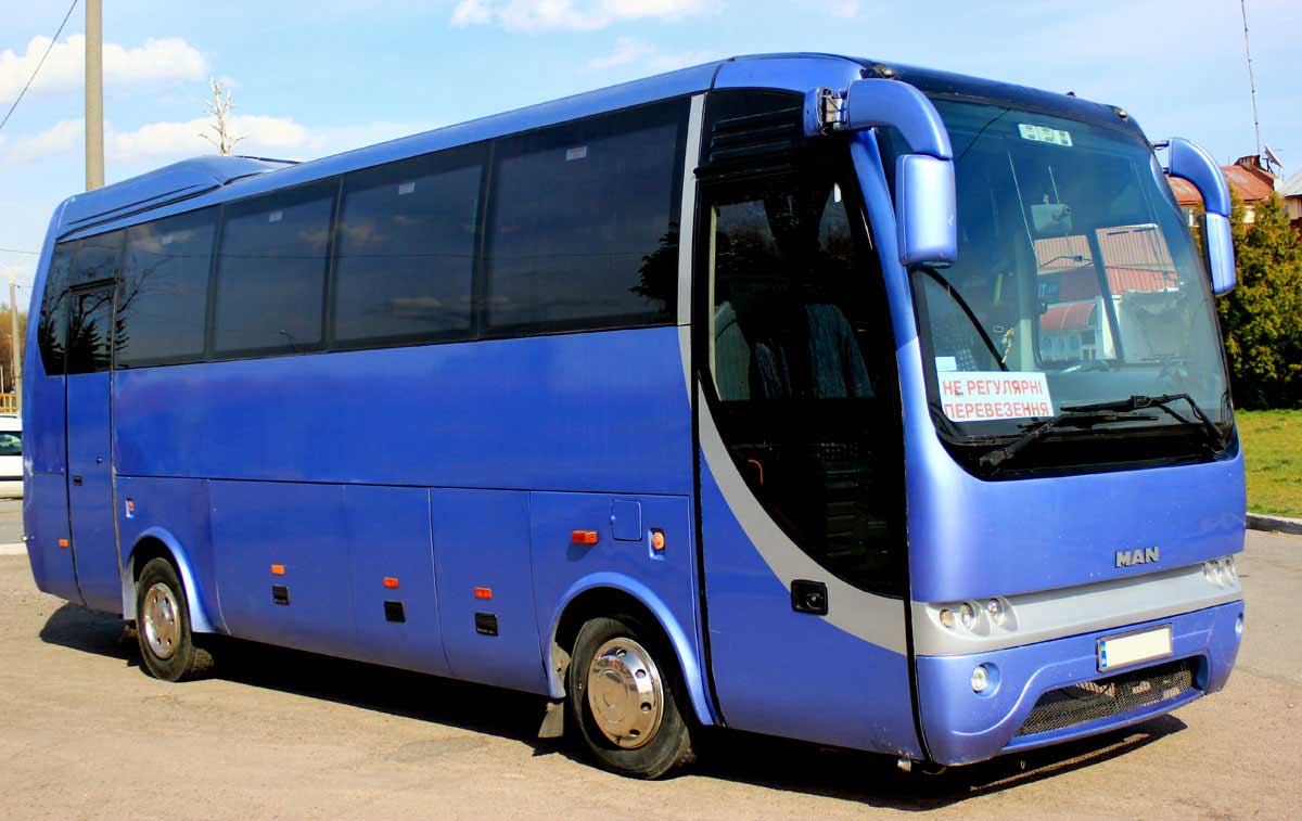 Rent a buses (36 persons)