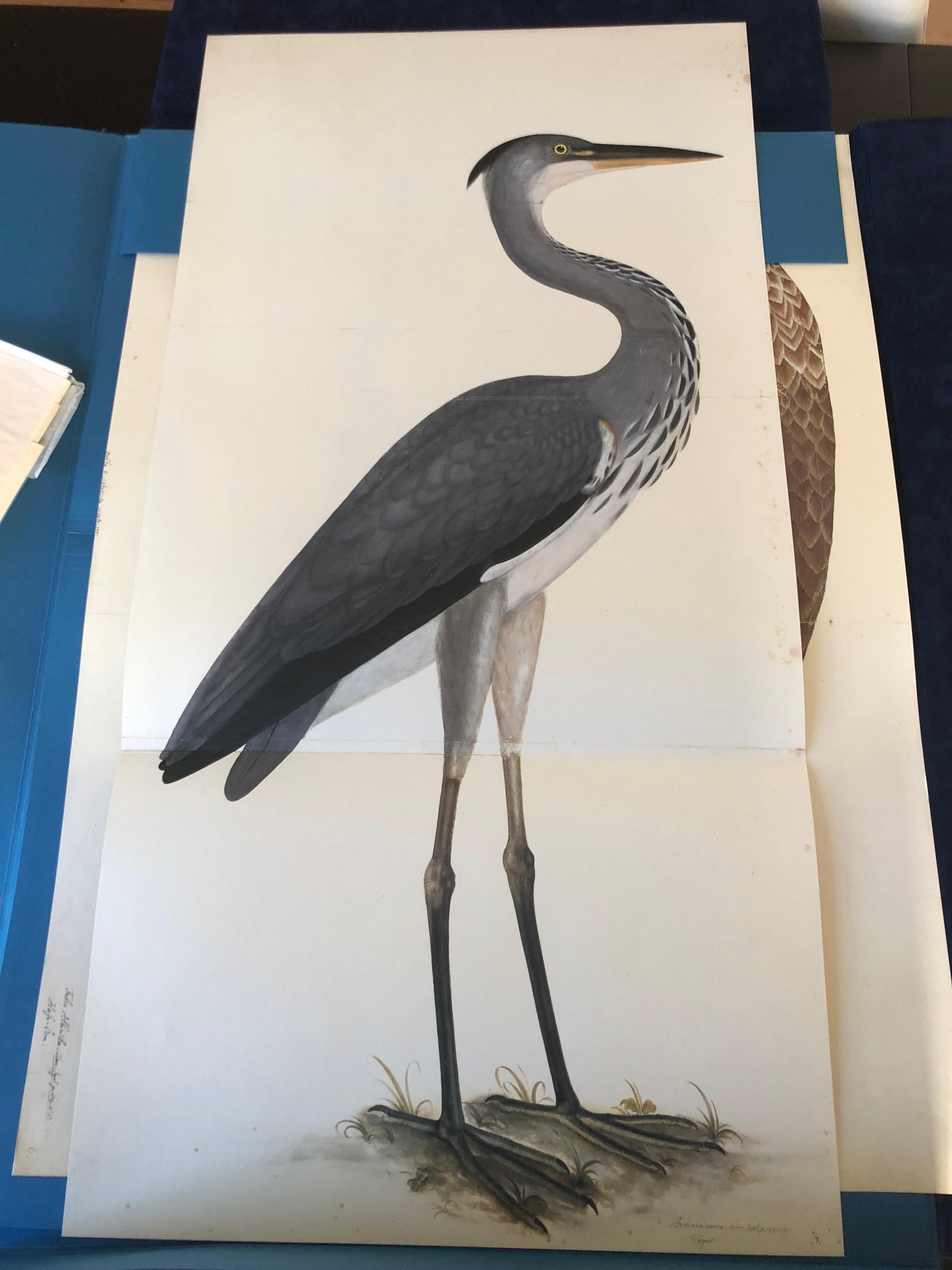 Olof Rudbeck Rudbeck HERON Limited First Edition Portfolio 482