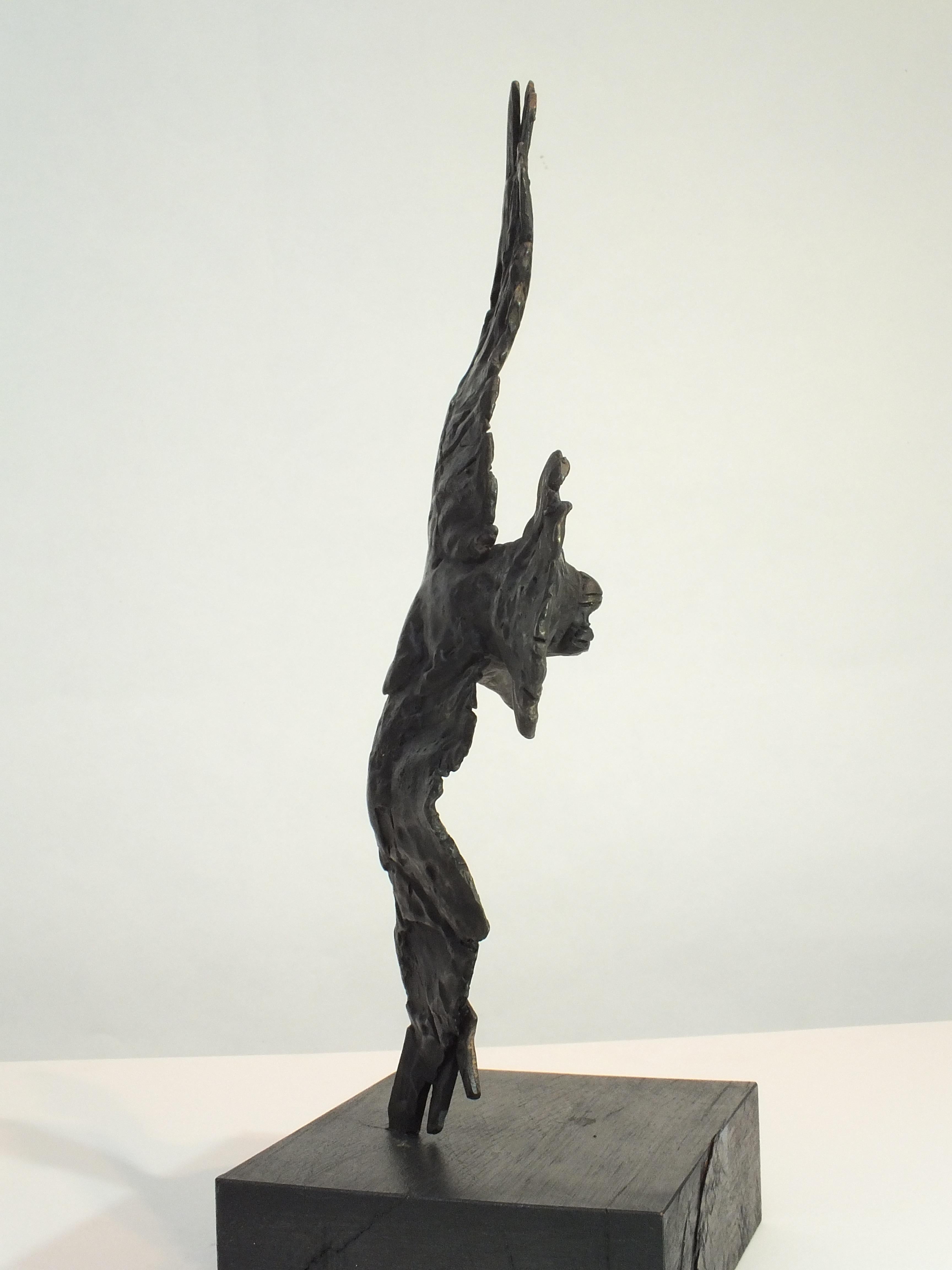 Tim Rawlins Raven, Dominion Series Unique Contemporary Cast Bronze