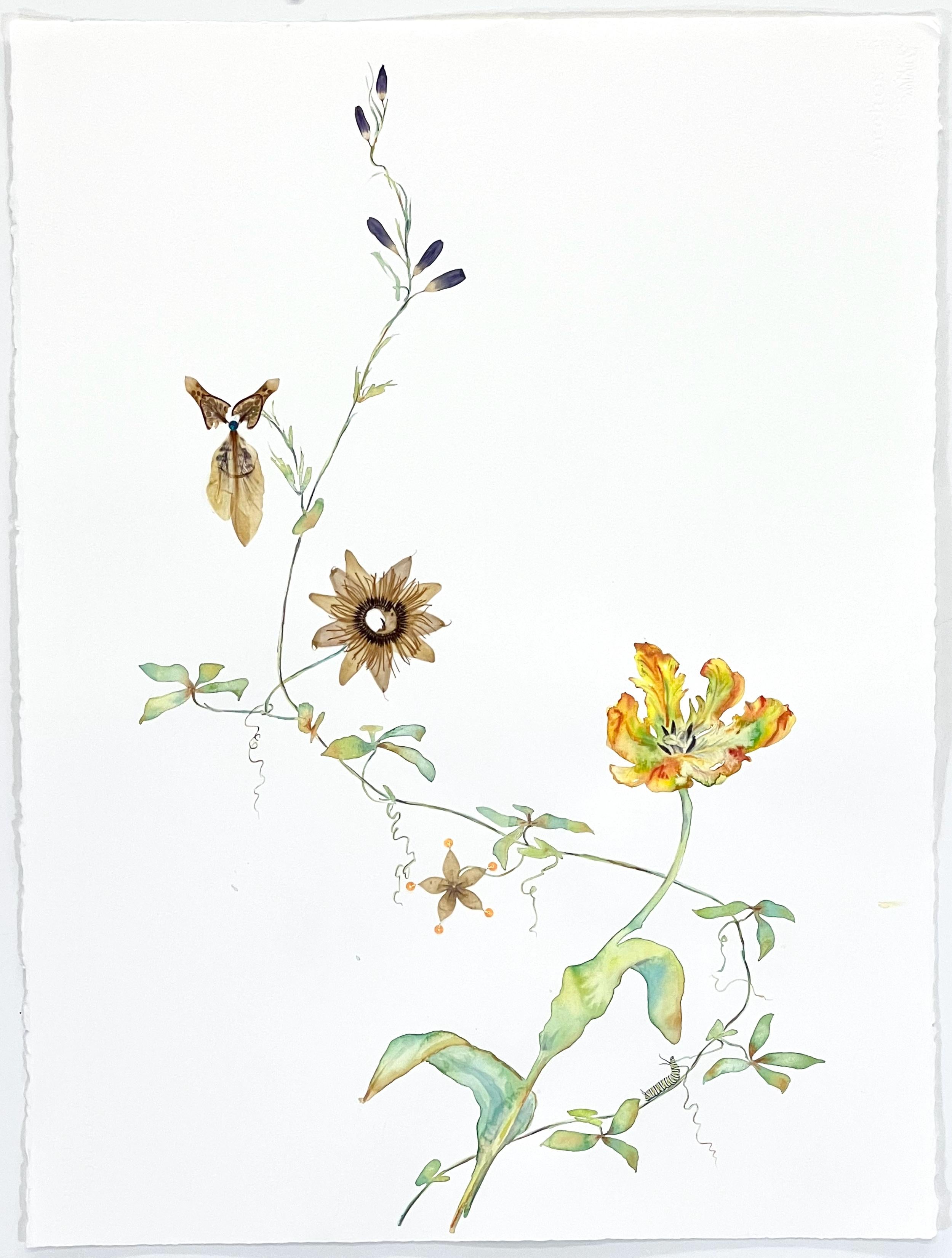 Marilla Palmer Marilla Palmer "Parrot, Poppy, and Lily" Pressed