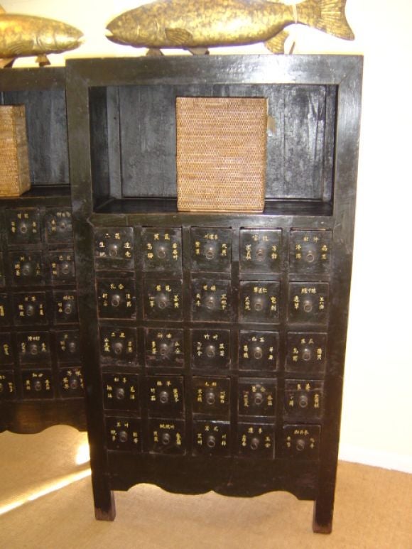 Lacquered Chinese Medicine For Sale at 1stDibs