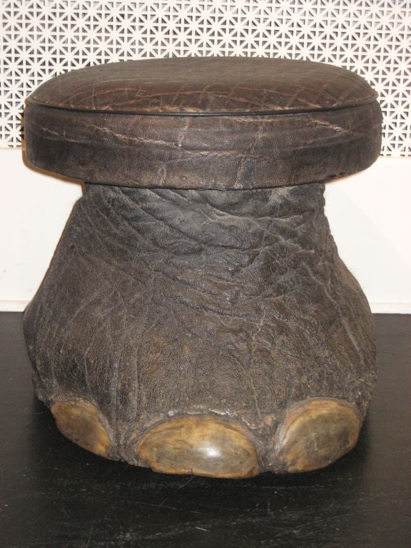 Unusual Elephant Foot Stool at 1stDibs