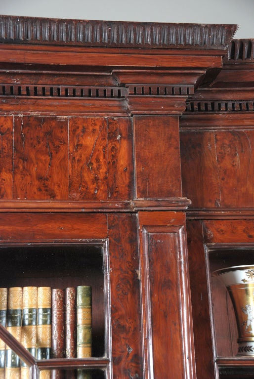 Rare Yew Wood Bookcase For Sale at 1stDibs