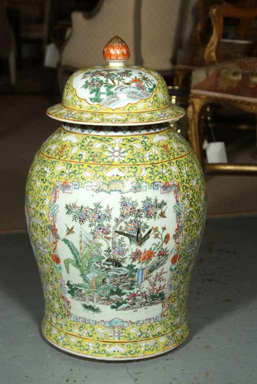 Covered Chinese Jar at 1stDibs