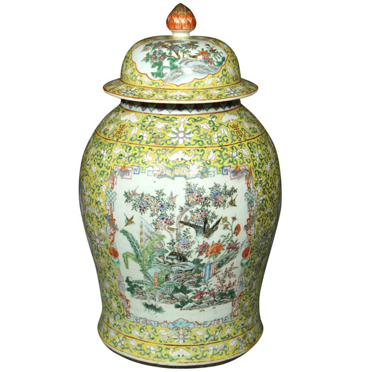 Covered Chinese Jar For Sale at 1stdibs
