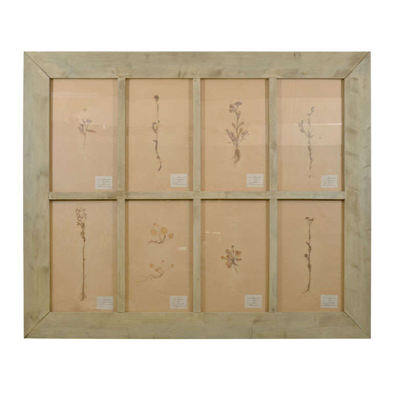 Glass Window Panes 10 For Sale on 1stDibs window panes for sale