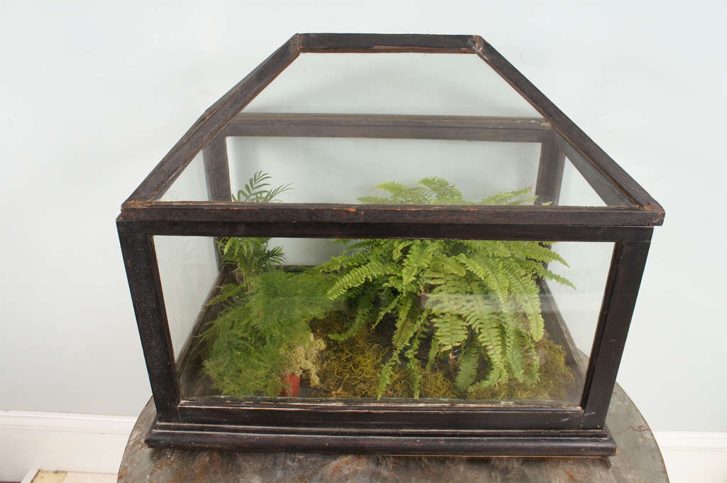Victorian Mahogany and Glass Terrarium For Sale at 1stDibs victorian