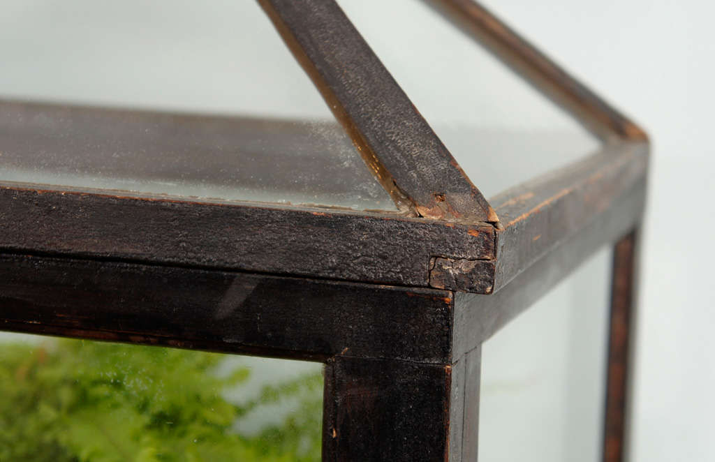 Victorian Mahogany and Glass Terrarium For Sale at 1stDibs victorian