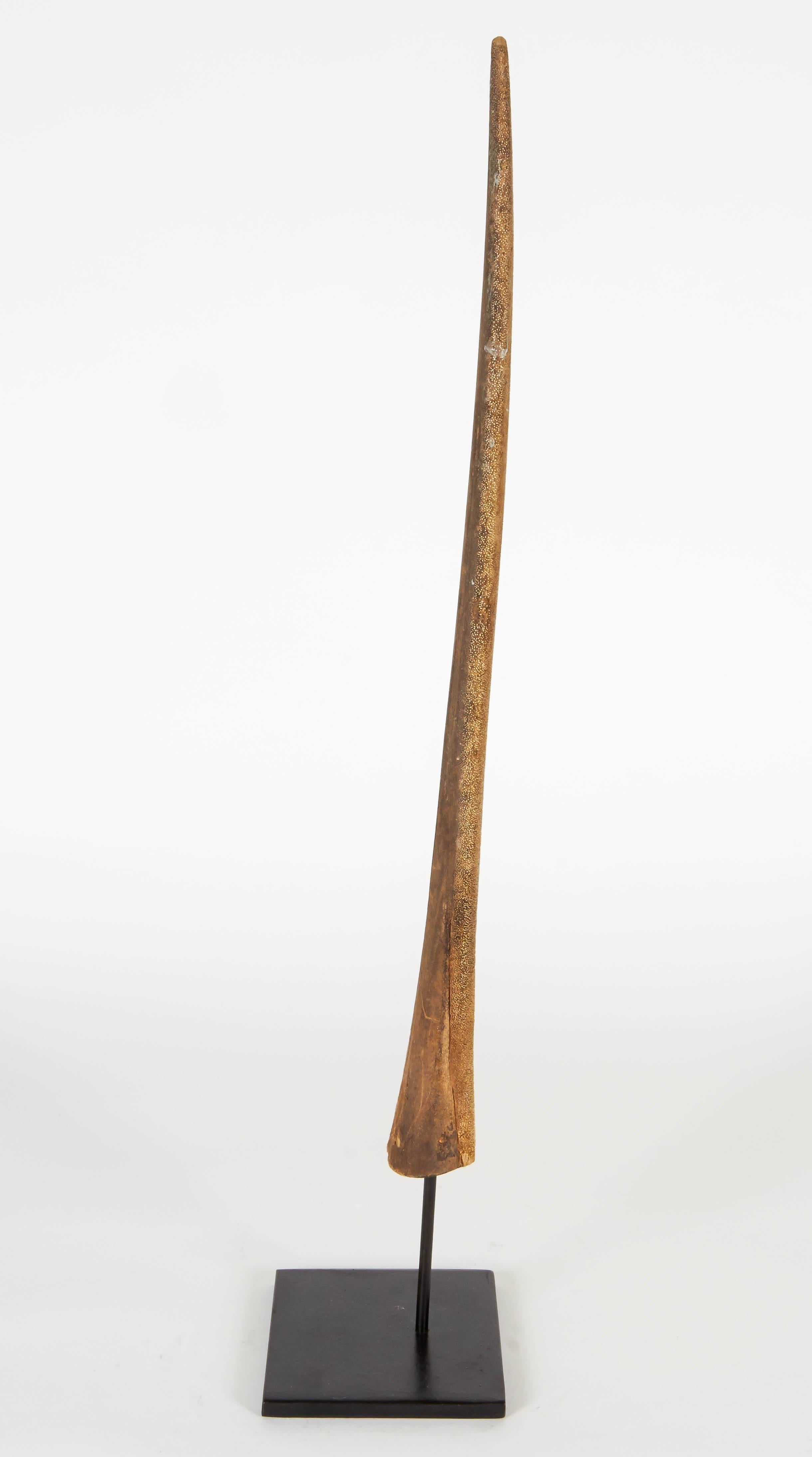 Vintage Swordfish Bill For Sale at 1stDibs marlin bill for sale, swordfish bill for sale