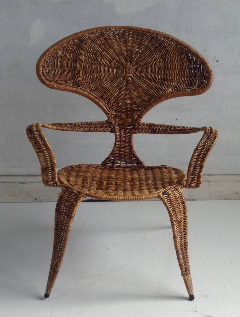Mid Century Modern Wrapped Wicker 'Bug Arm Chair For Sale at 1stDibs
