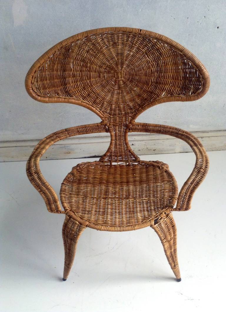 Mid Century Modern Wrapped Wicker 'Bug Arm Chair For Sale at 1stDibs