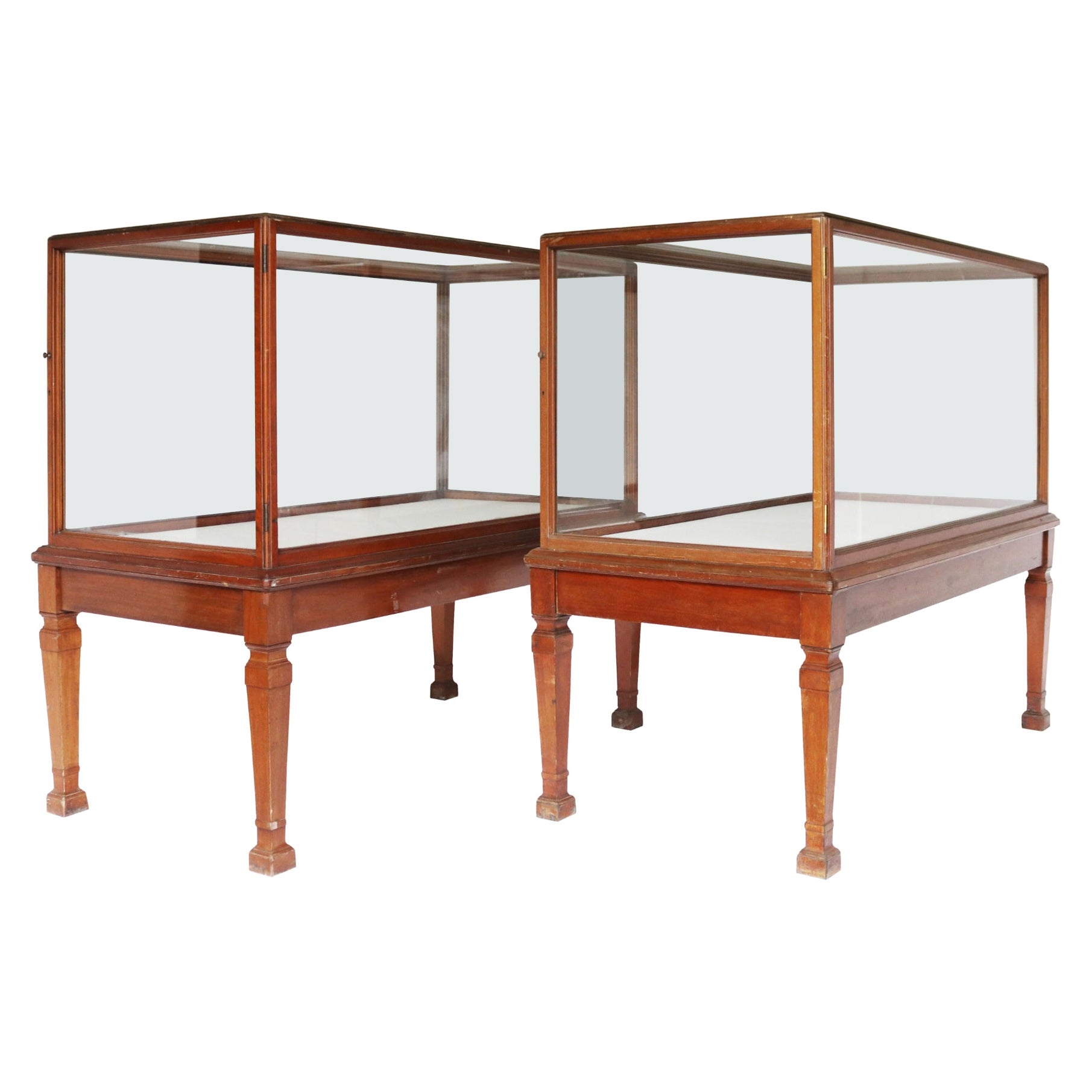 Two Antique Glazed Museum Display For Sale at 1stDibs museum for sale