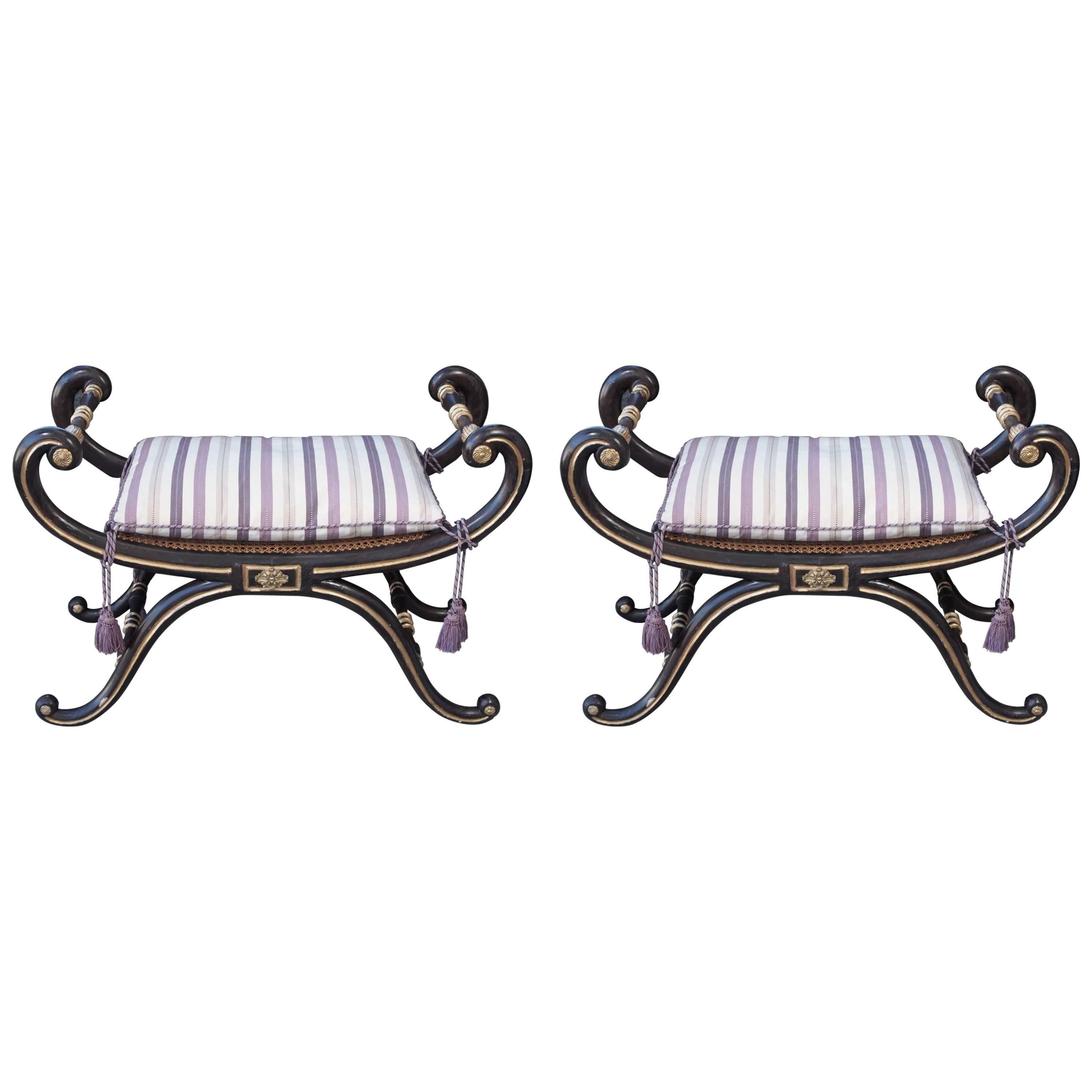 Rochfort Benches, Pair Irish Regency Mahogany Benches Original Family
