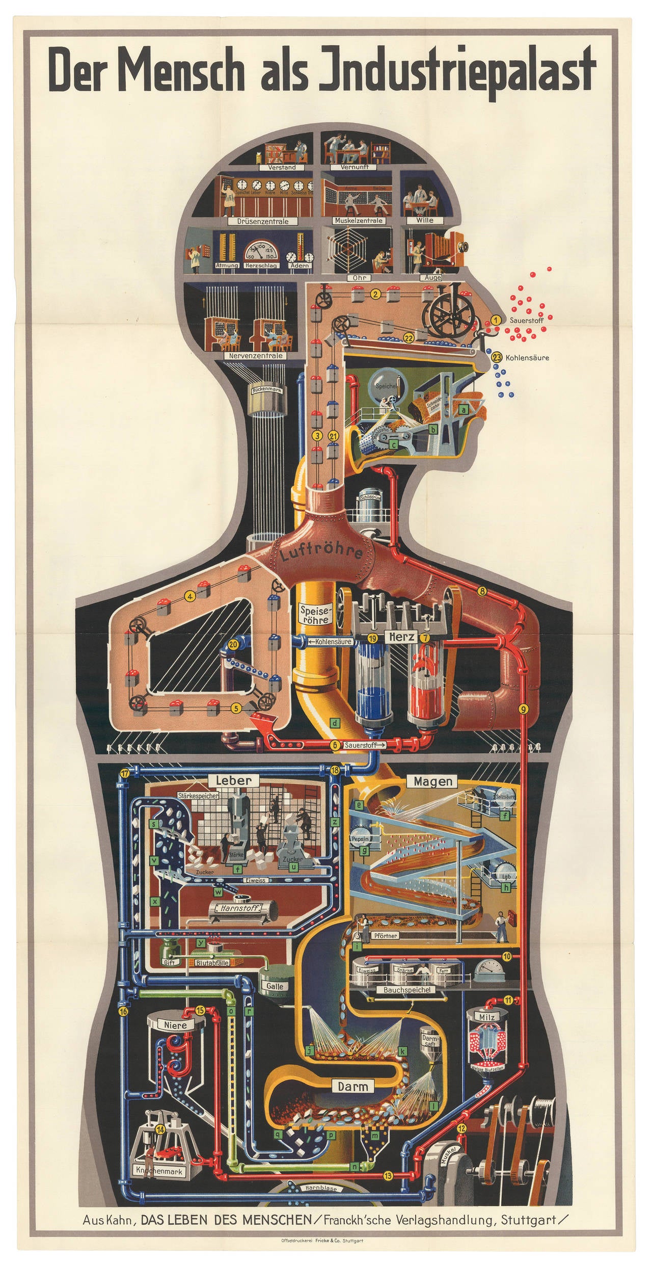 "Der Mensch als Industriepalast" Poster by Fritz Kahn, 1926 For Sale at