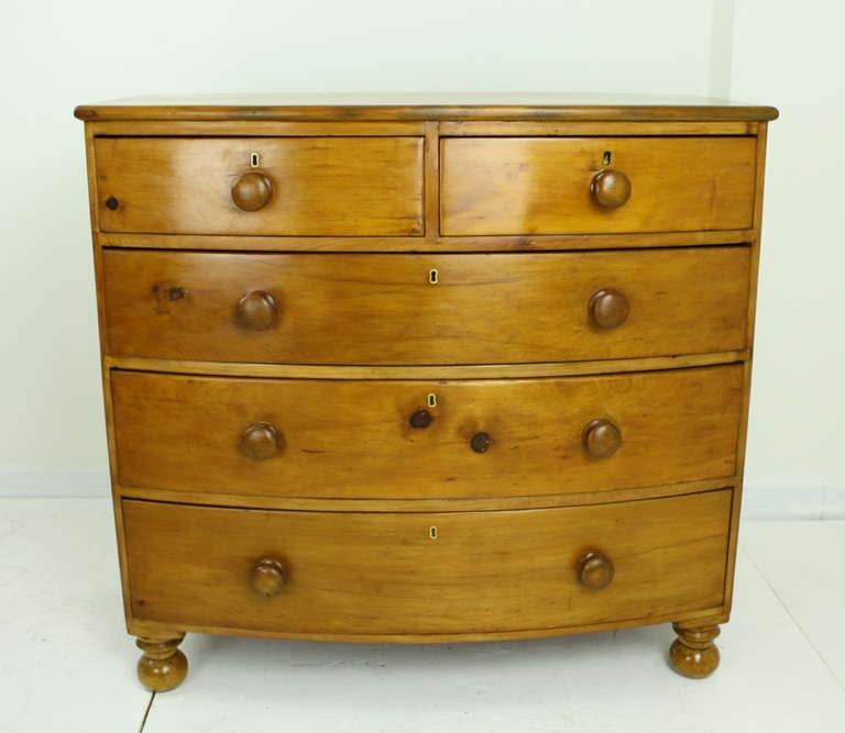 Cornish Pine Bowfront at 1stdibs