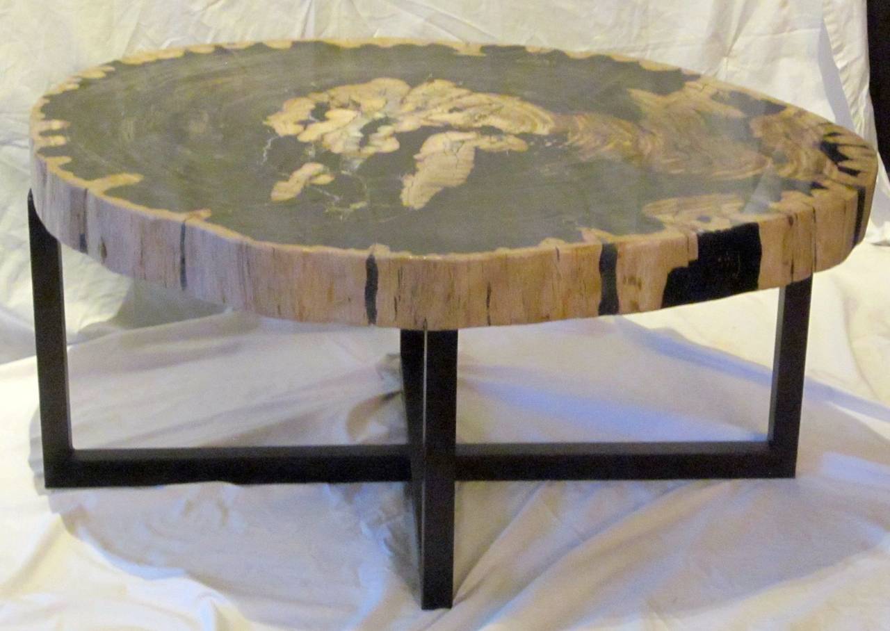 Contemporary Indonesian Petrified Wood Coffee Table at 1stDibs