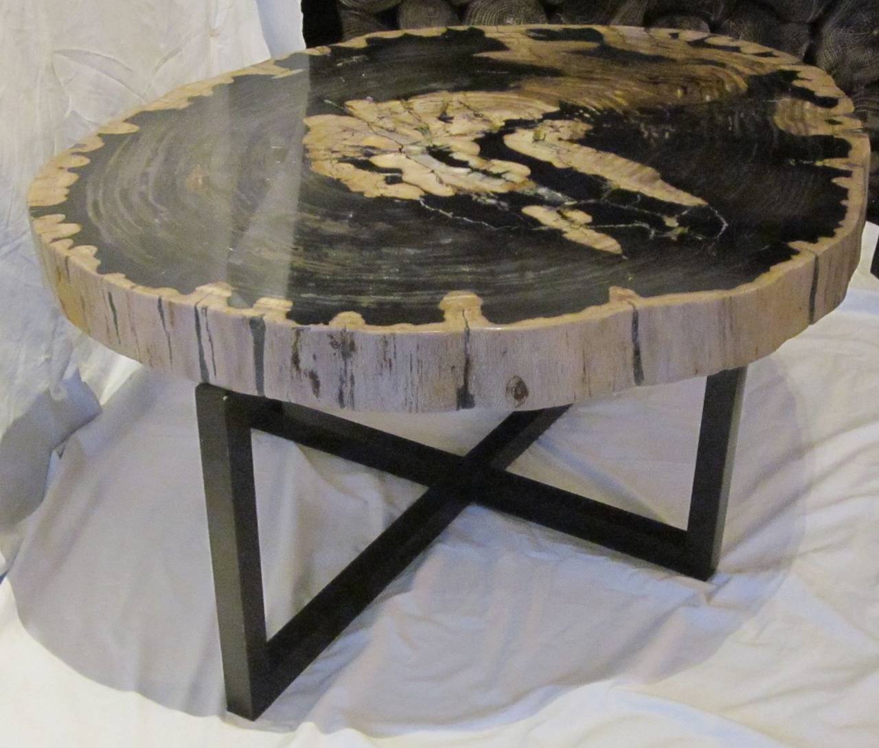 Contemporary Indonesian Petrified Wood Coffee Table at 1stDibs