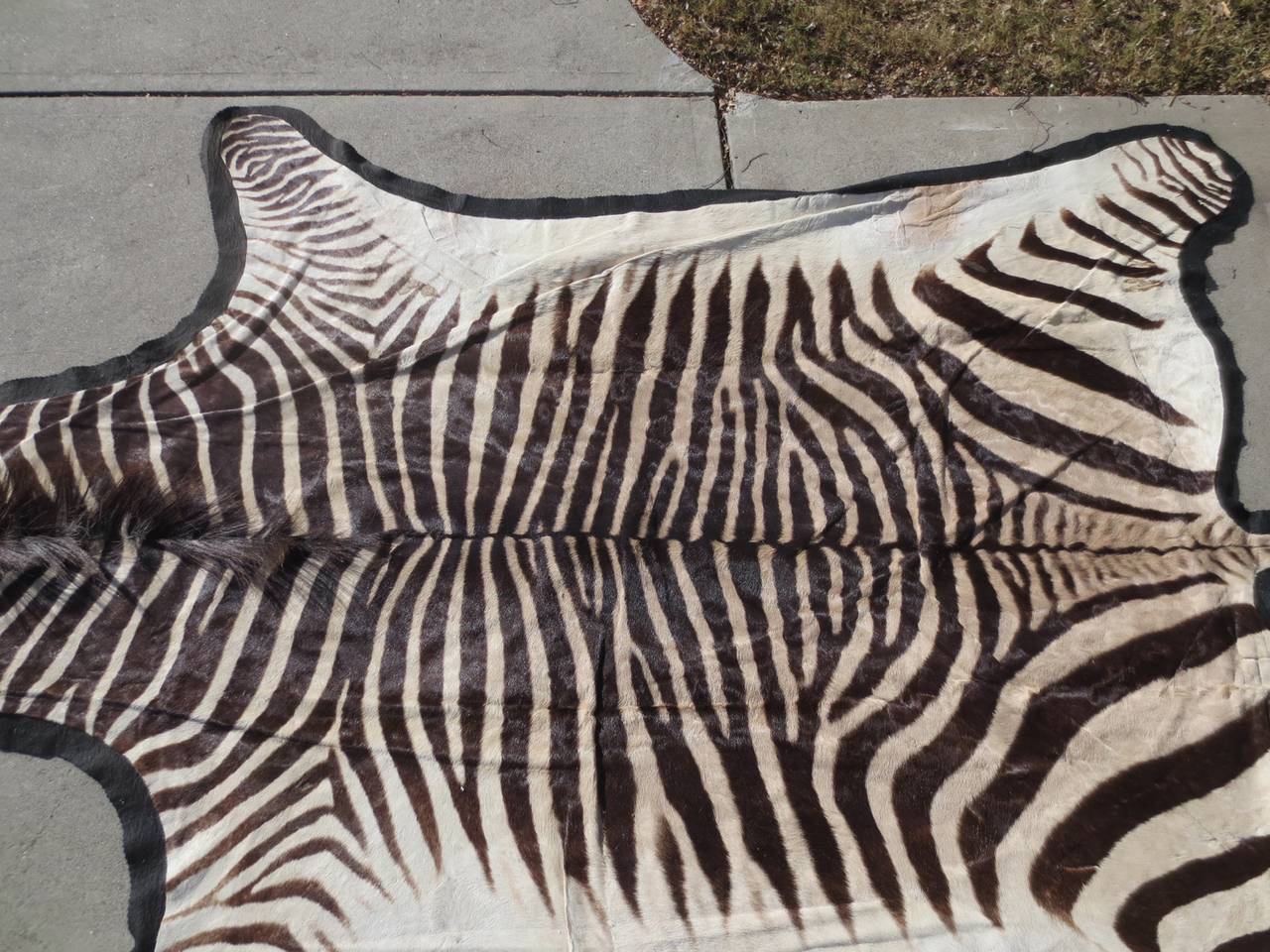 Striking Large 20th Century Vintage Zebra Rug at 1stdibs