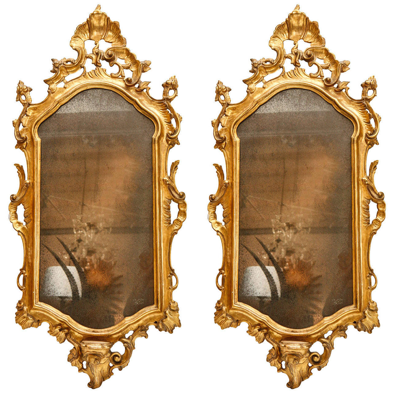 Pair of Large Spectacularly Carved 19th c. Italian Wall Mirrors For