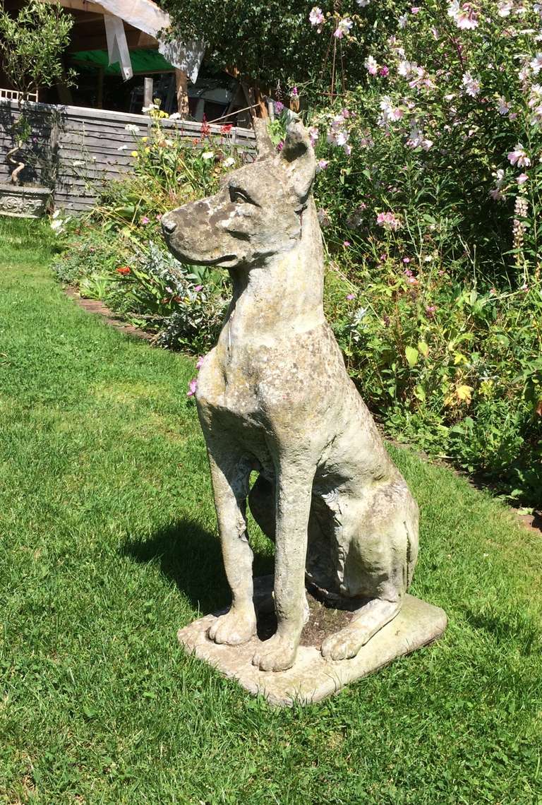 Large Weathered Cast Stone Great Dane Figure at 1stDibs great dane