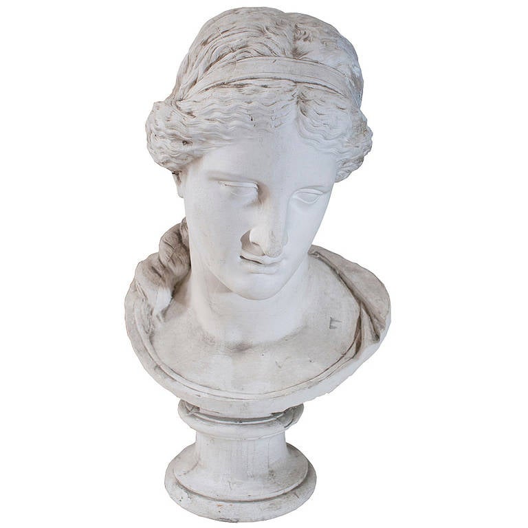 A plaster bust of Venus de Milo at 1stdibs