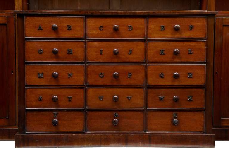 Rare 19th Century Mahogany Breakfront Bookcase with Norfolk Map at 1stdibs
