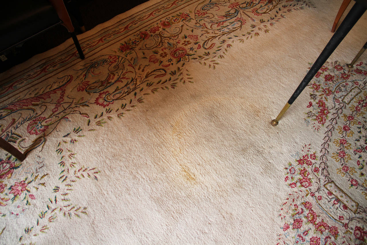 Important Presidential Rug at 1stDibs