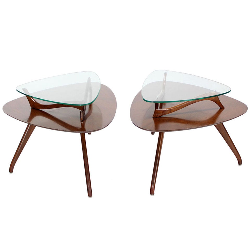 Pair of Organic Shape End Tables with Glass Tops For Sale at 1stDibs