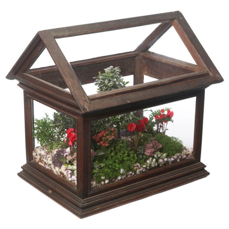 Wood and Glass Edwardian Terrarium at 1stDibs