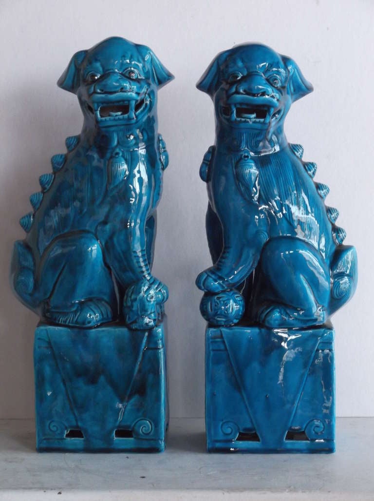 Pair of 1960's Turquoise Porcelain Foo Dogs at 1stdibs