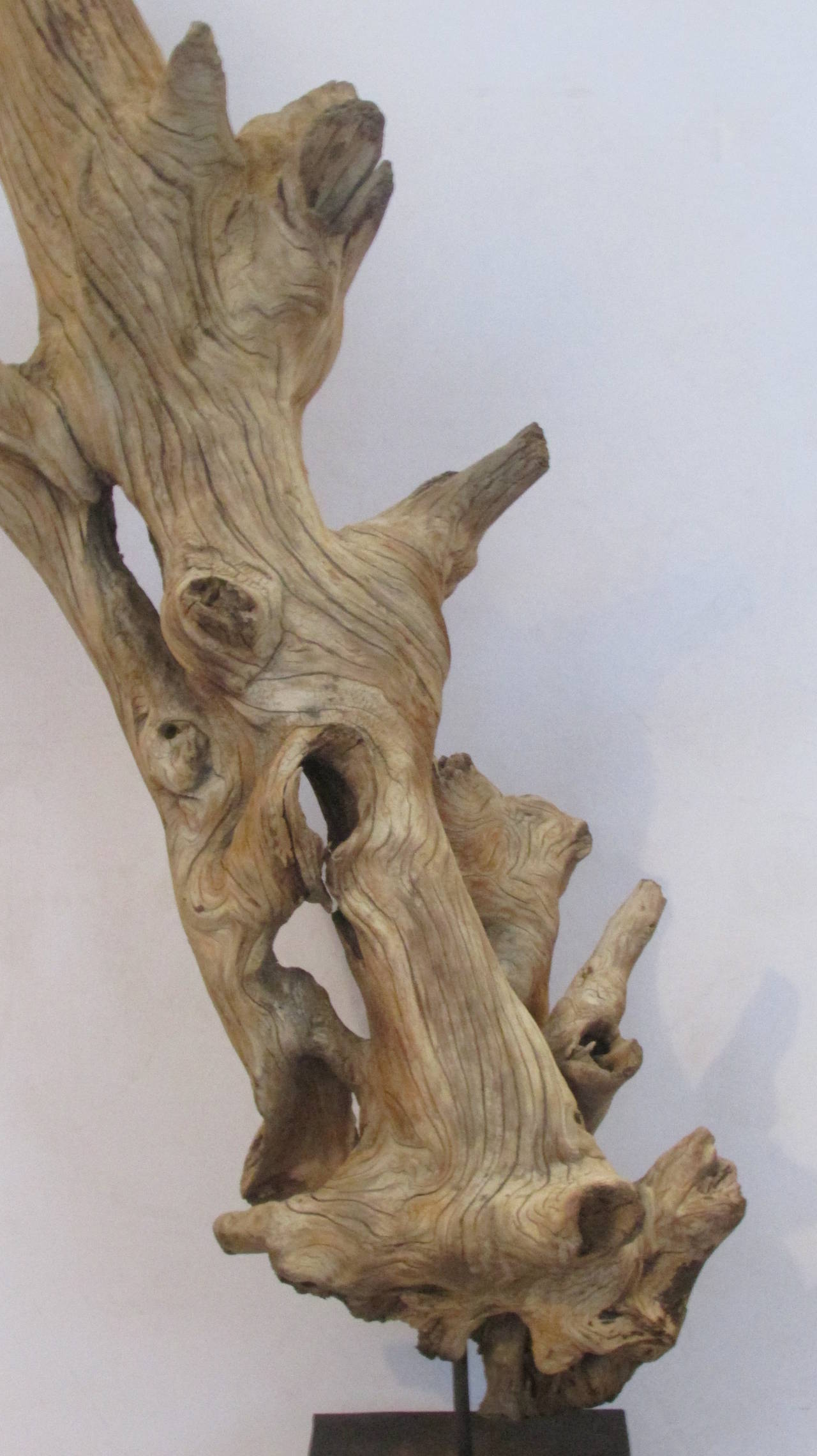 Large Driftwood Sculptures For Sale / There are 3541 large driftwood